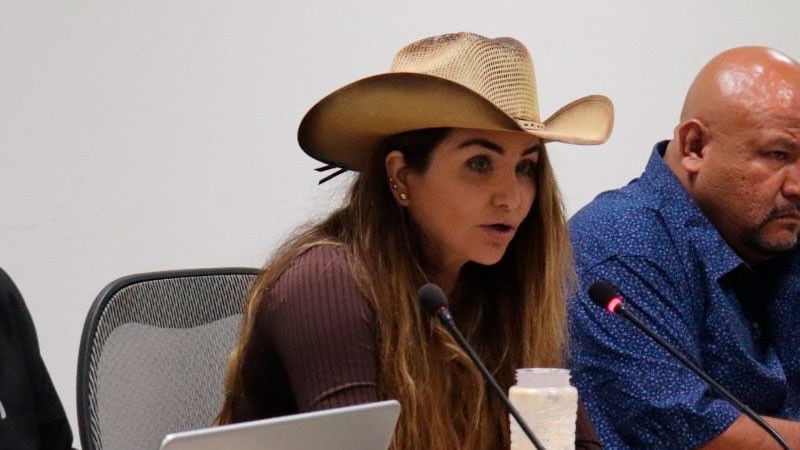 Diputada de Morena habría pagado cirugía estética con recursos públicos; exhiben factura a nombre del Congreso de Guanajuato
